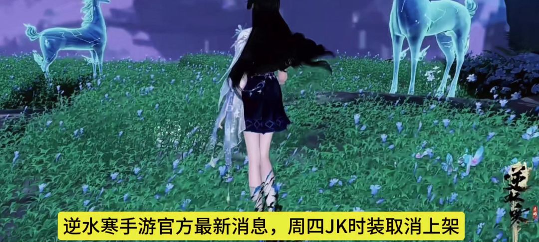 video-4177656