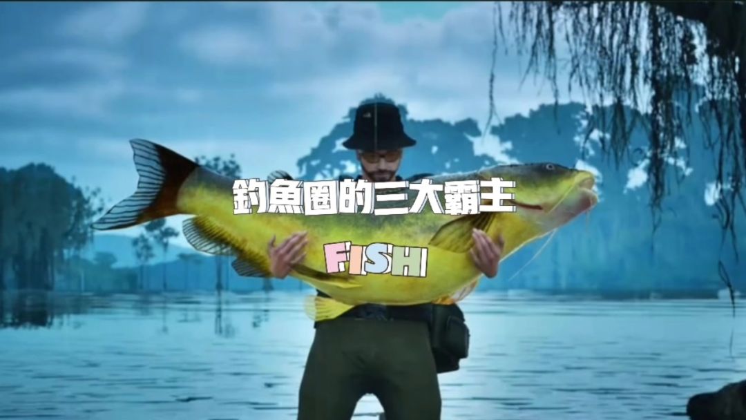 video-4178085