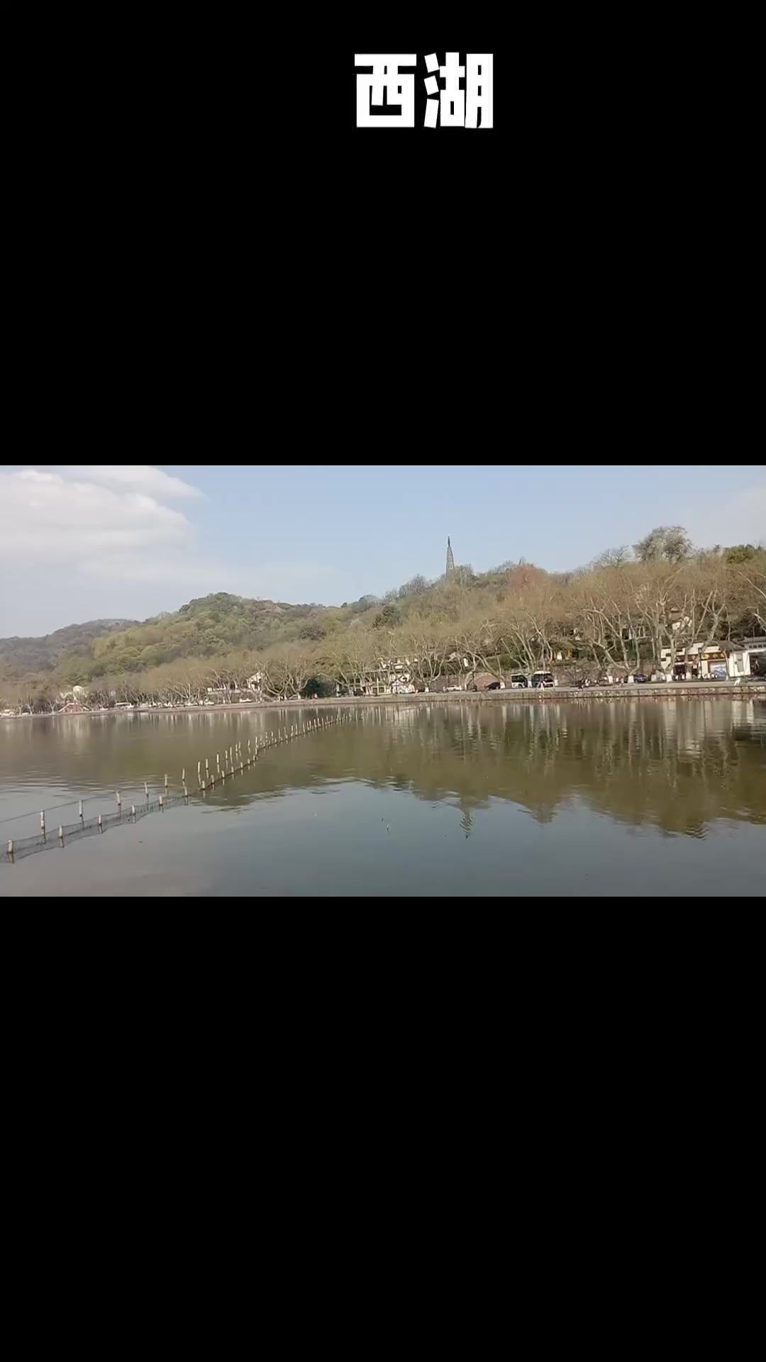 video-4178920