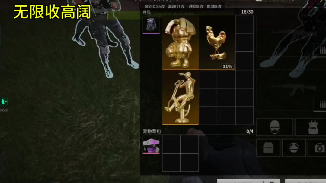 video-4181567