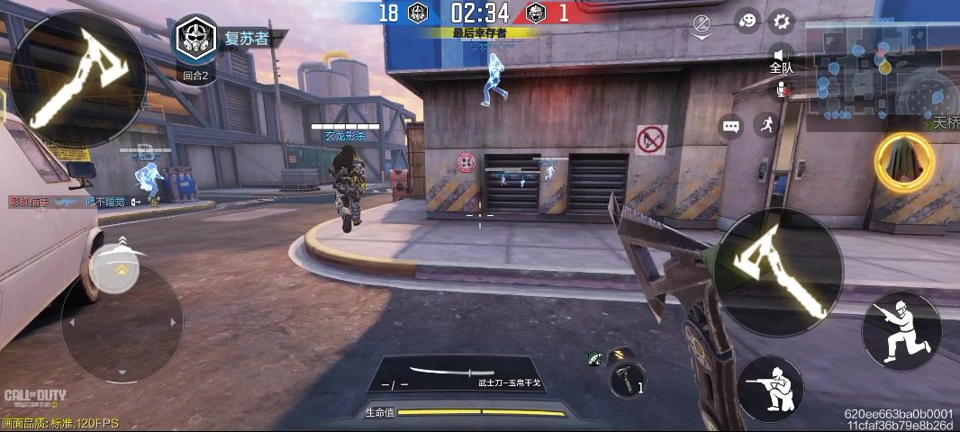 video-4183162