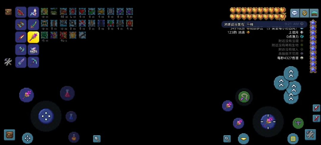 video-4195723