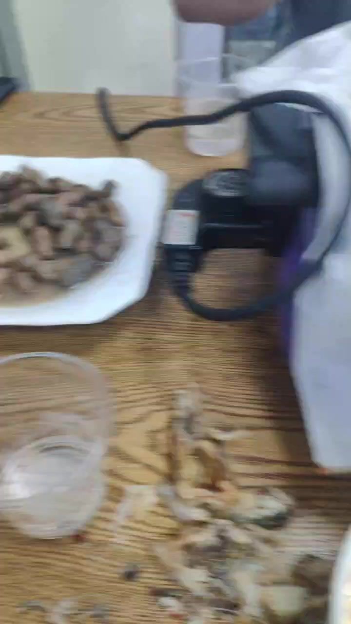 video-4198564