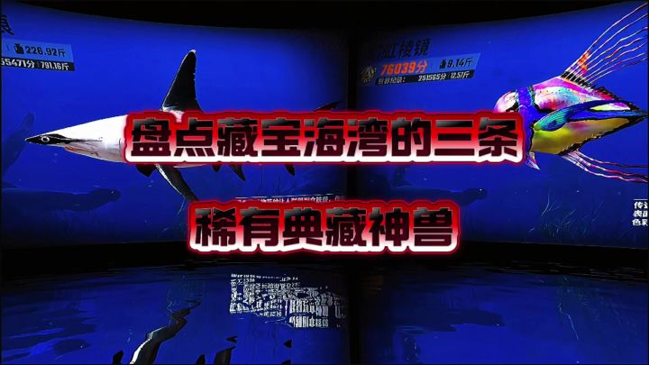 藏宝海海湾的三条稀有典藏鱼截图