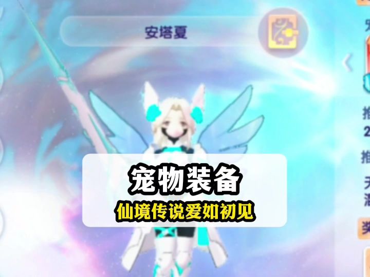 仙境传说爱如初见宠物装备该怎么选择截图