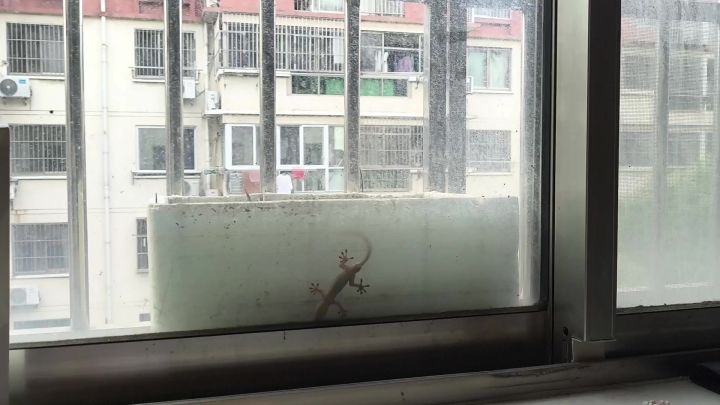 求更新战魂截图