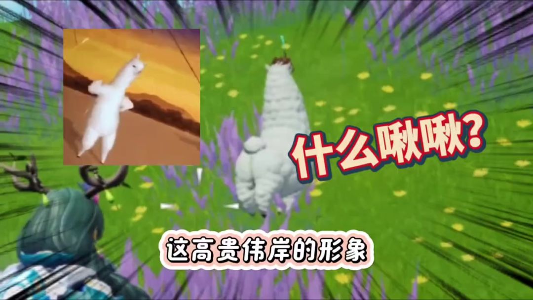 video-4203527