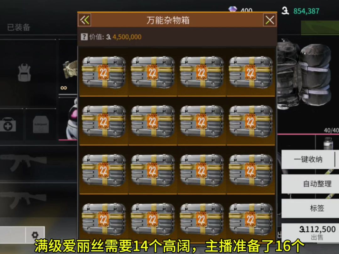 video-4204651