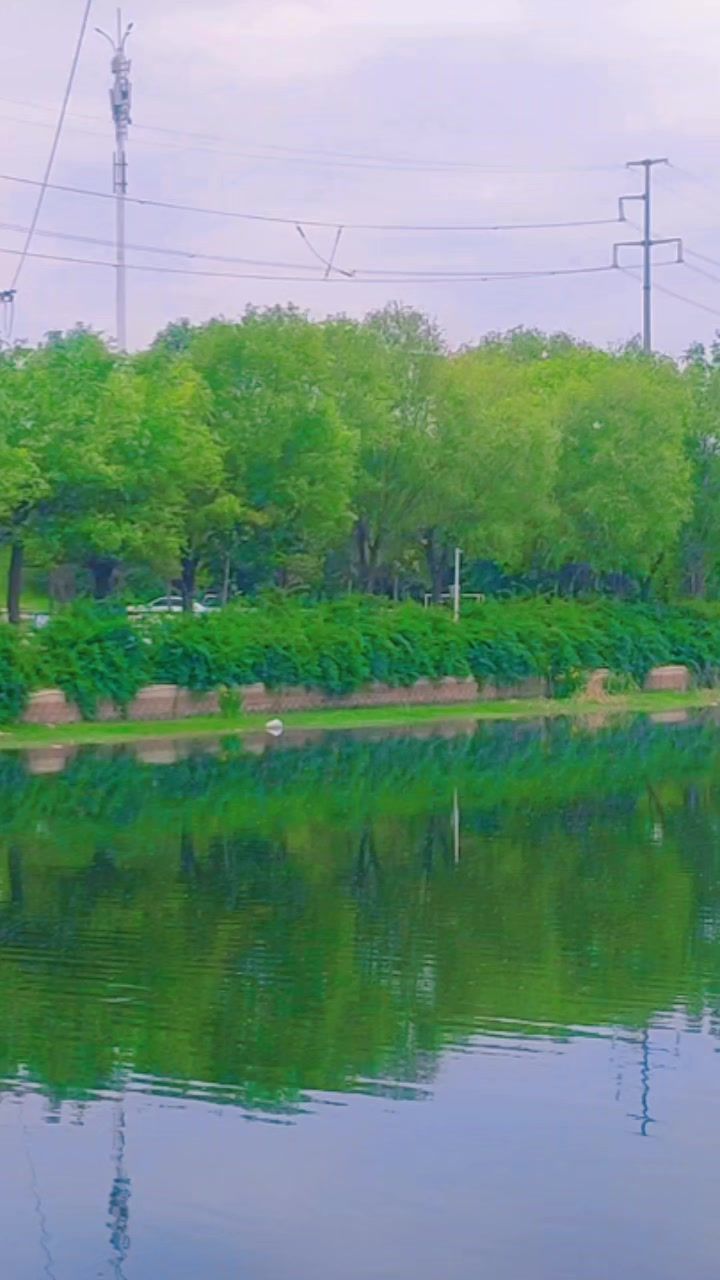 video-4207927