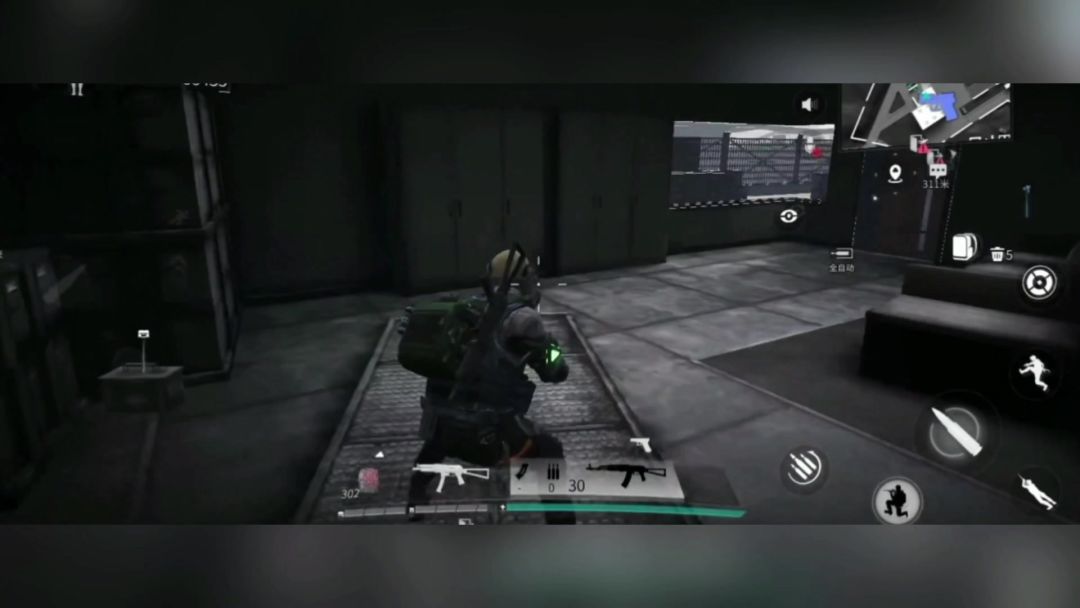 video-4208075