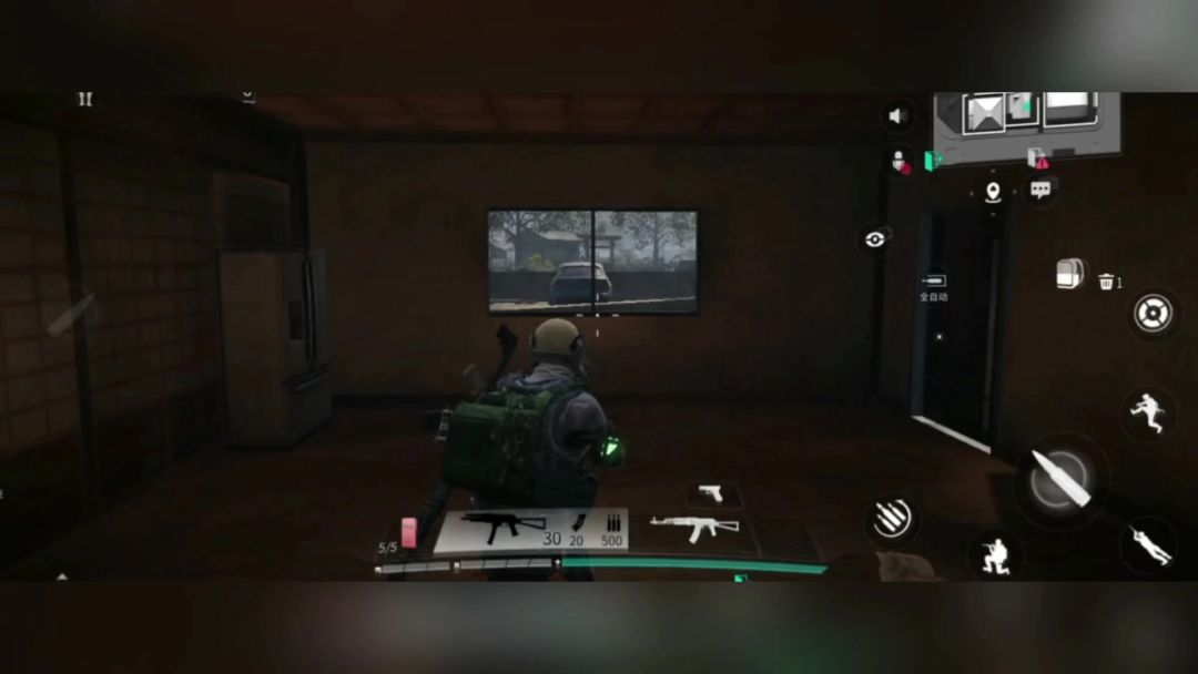 video-4208081
