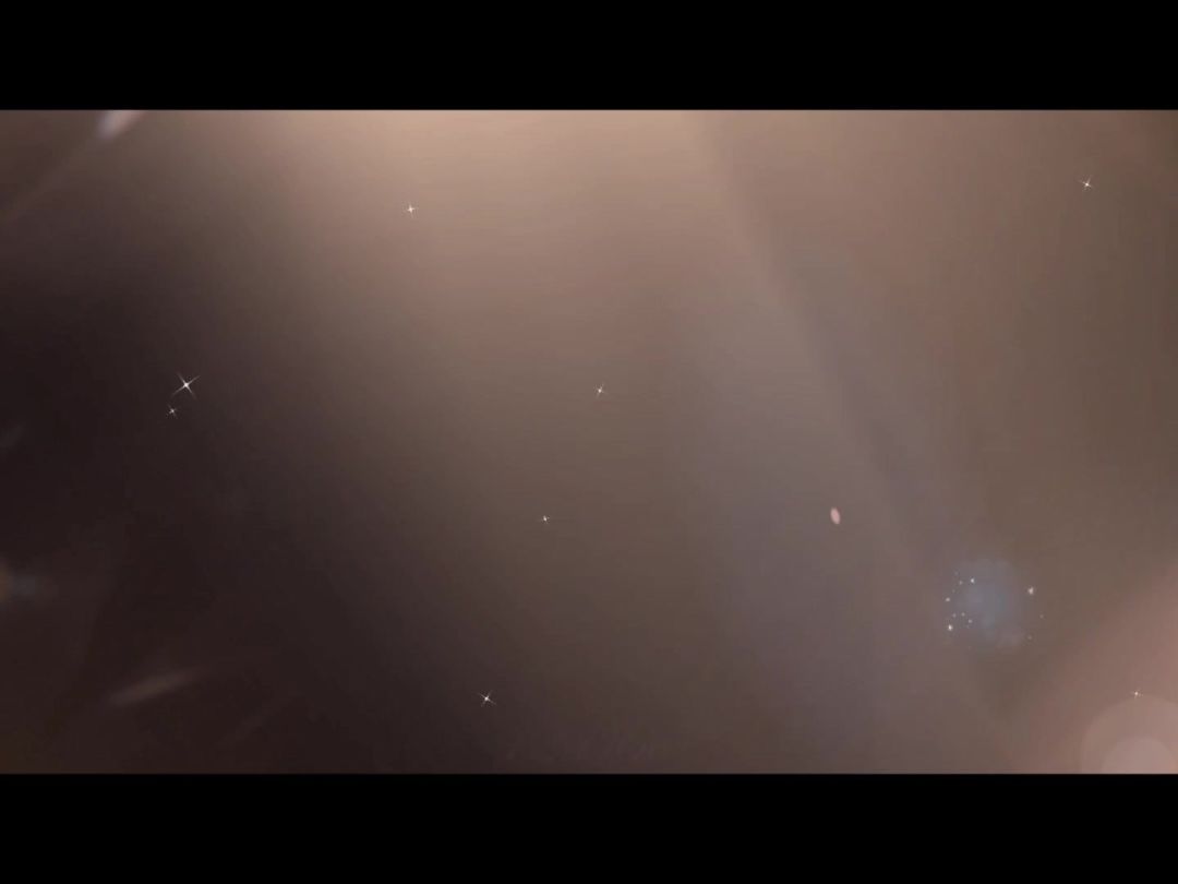 video-4213599