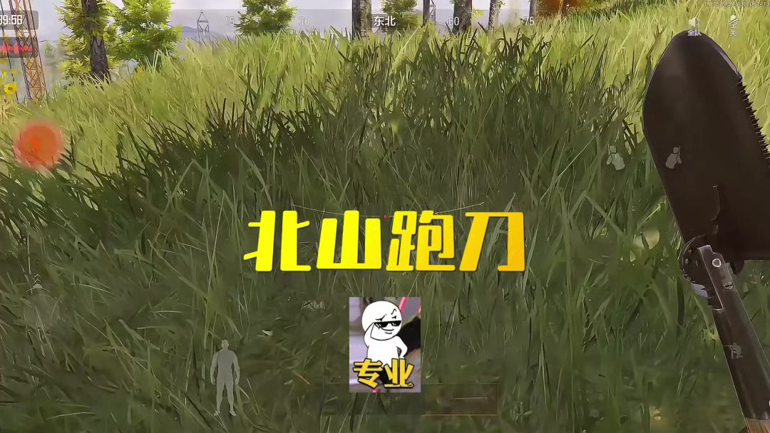 video-4214486