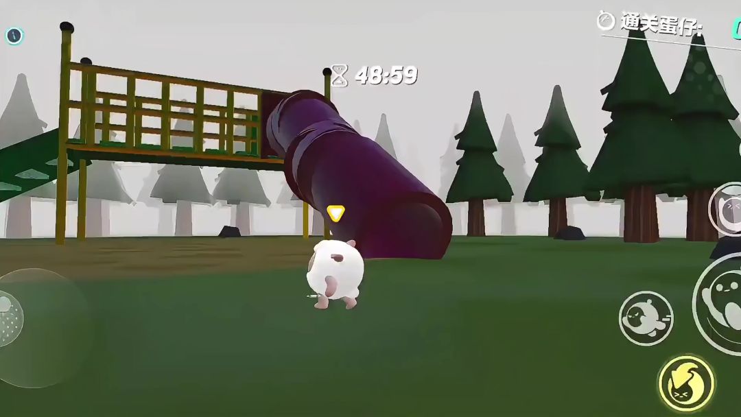 video-4215164
