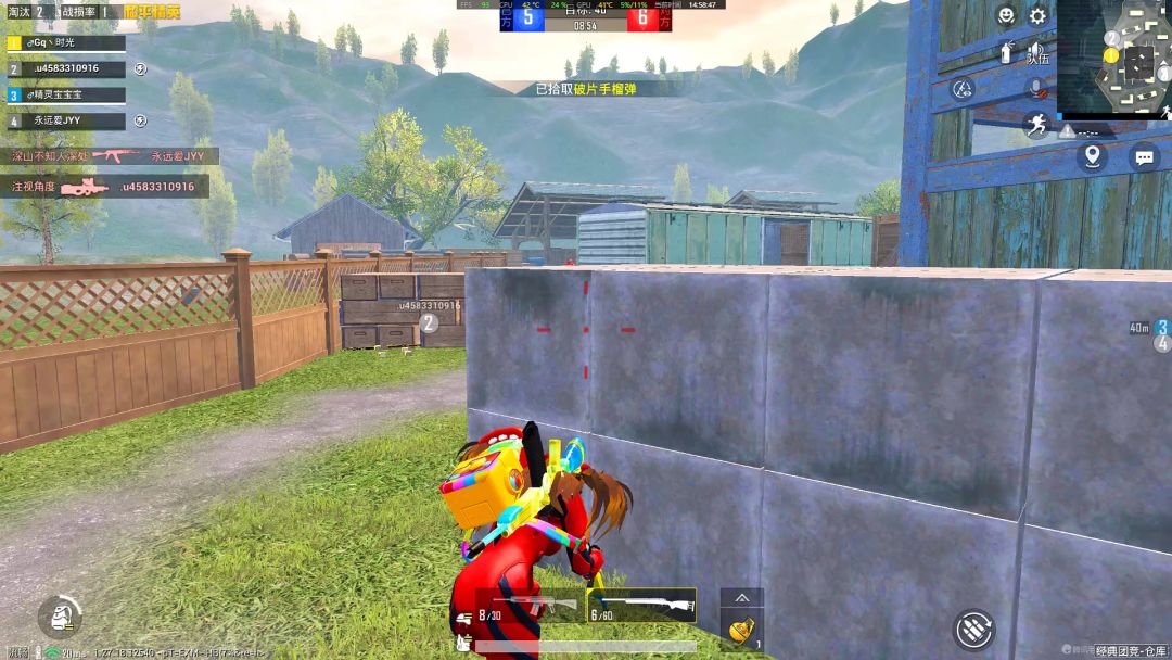 video-4215833