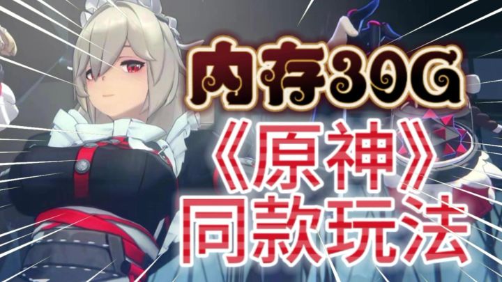 内存30个G!这游戏肯定很好玩吧?截图