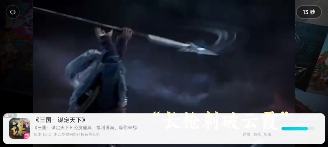 video-4219110