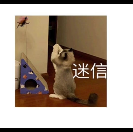 全身15-16,武器20看看能上几件截图