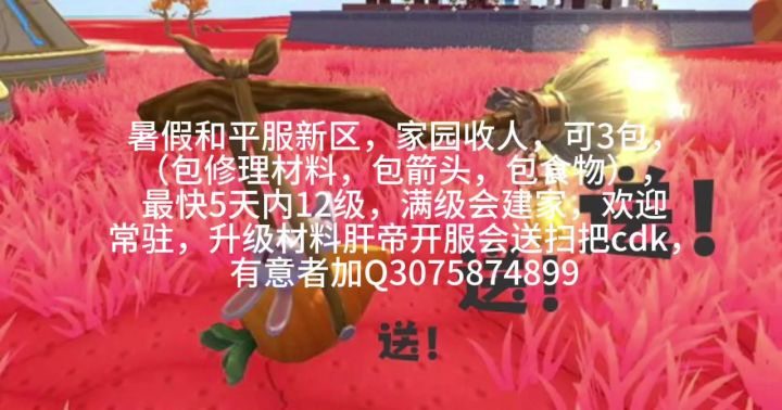 暑假服家园收人截图