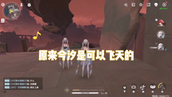 大佬带萌新,才知道今汐会飞!截图