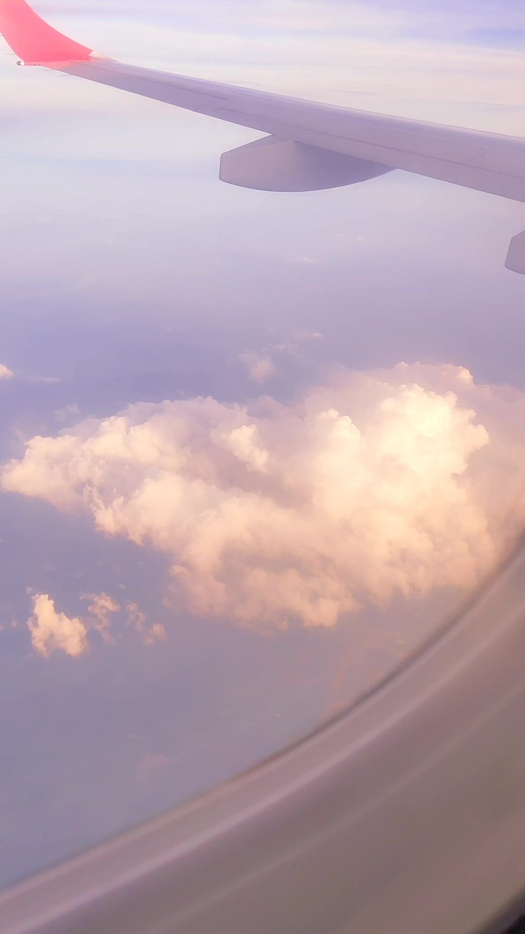video-4235149