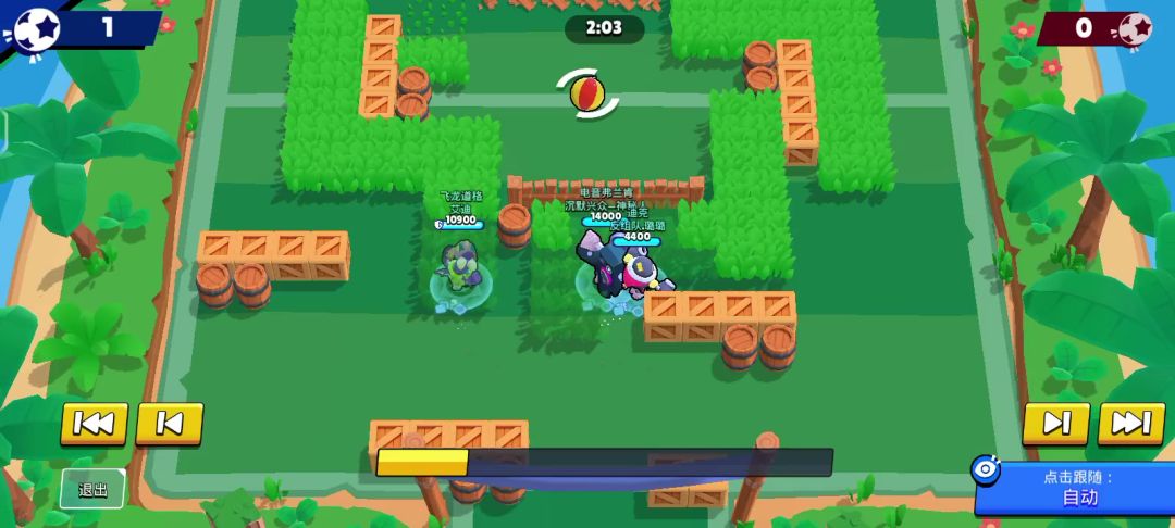 video-4237021