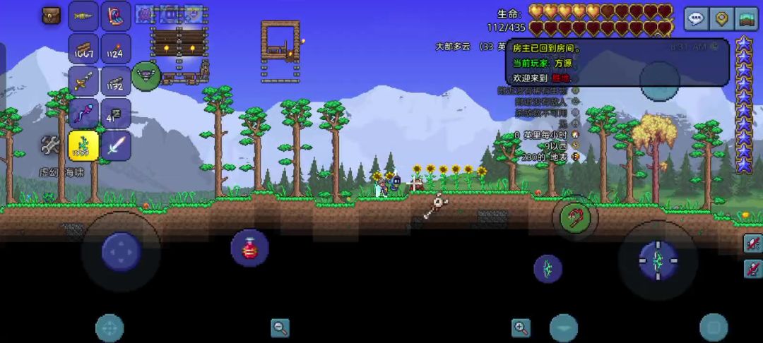 video-4237137