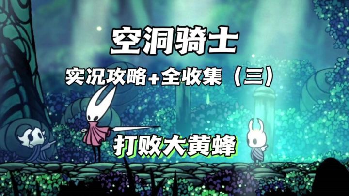 （三森）Hollow Knight空洞骑士P3打败打黄蜂截图