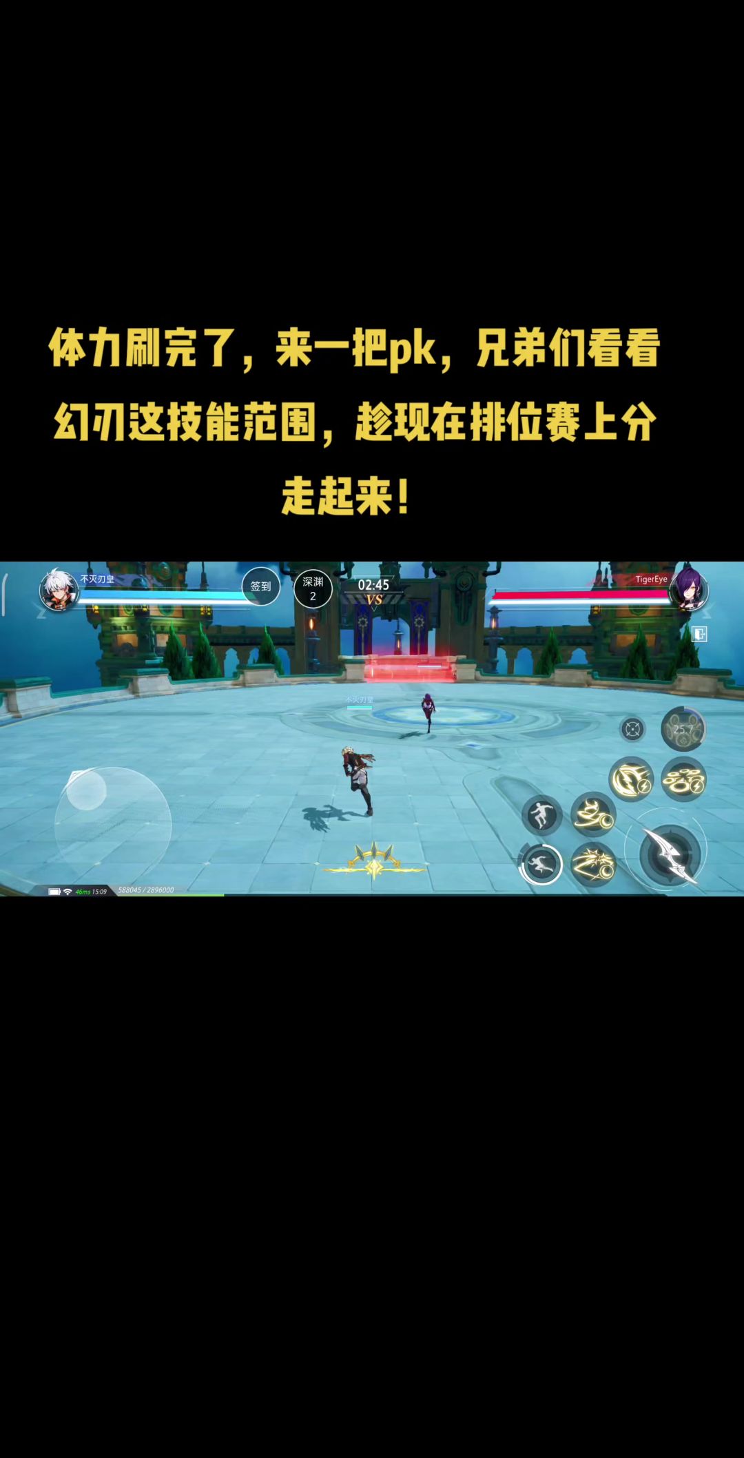 video-4239827