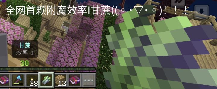 啊?原来甘蔗能被附魔啊?!!丨全网首发附魔效率I甘蔗截图