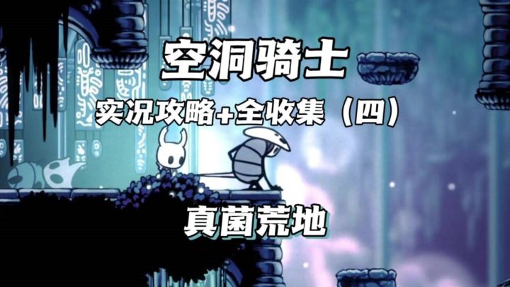 (三森)Hollow Knight空洞骑士P4真菌荒地截图
