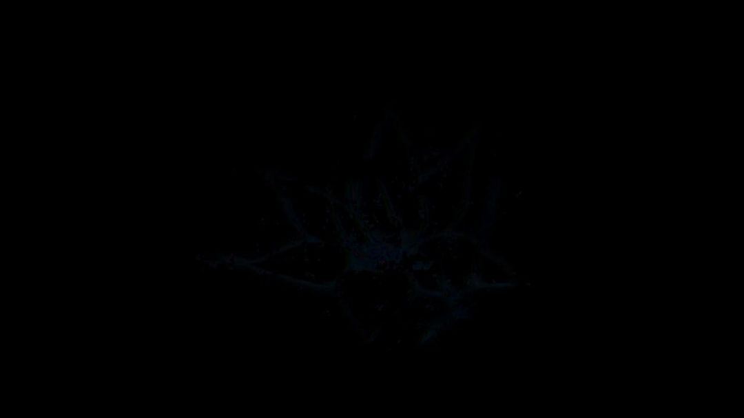 video-4243166