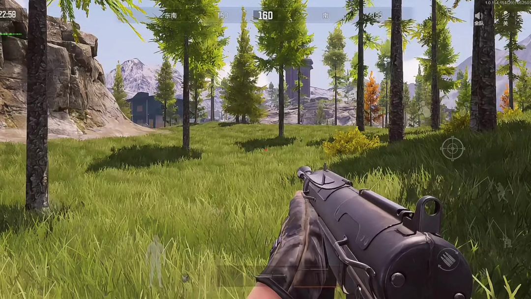 video-4246984