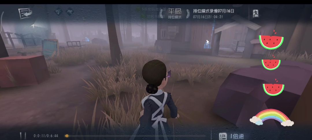 video-4248063