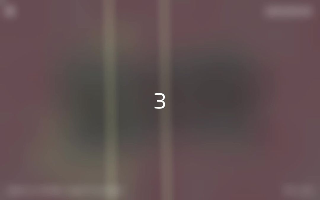 video-4248106
