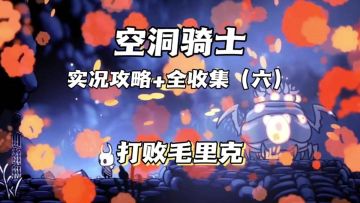 （三森）Hollow Knight空洞骑士P6打败毛里克