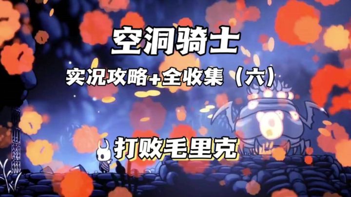 （三森）Hollow Knight空洞骑士P6打败毛里克截图