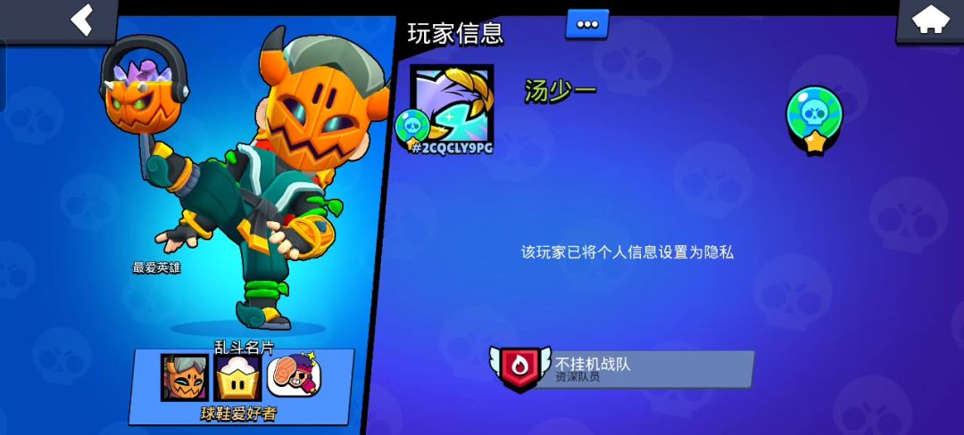 video-4249374