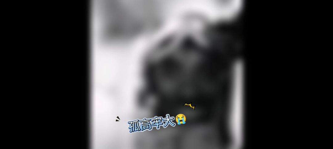 video-4250511