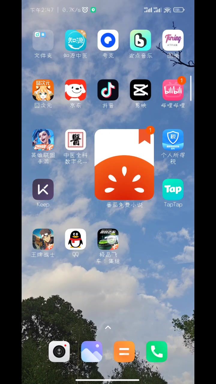 video-4254475