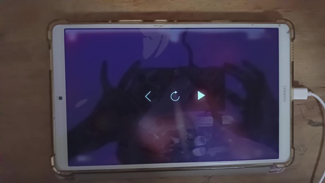 video-4255543