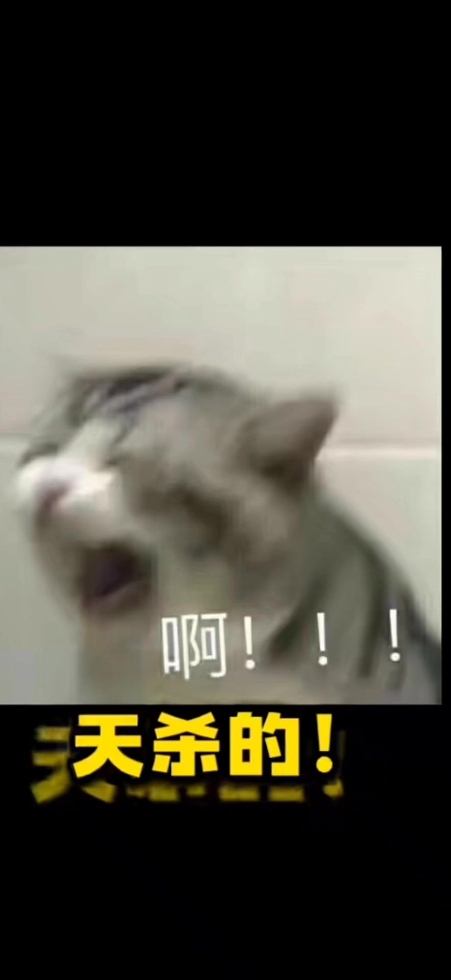 video-4257946