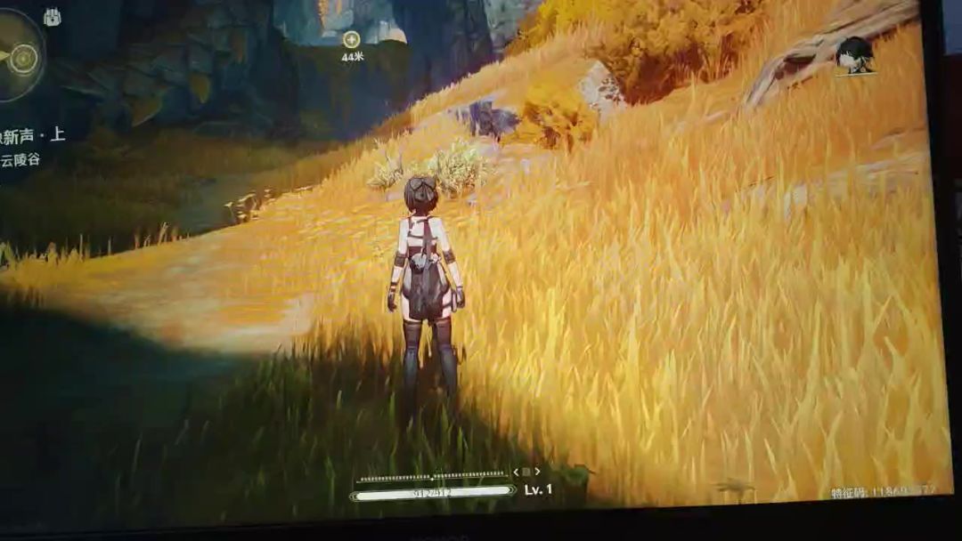 video-4259137