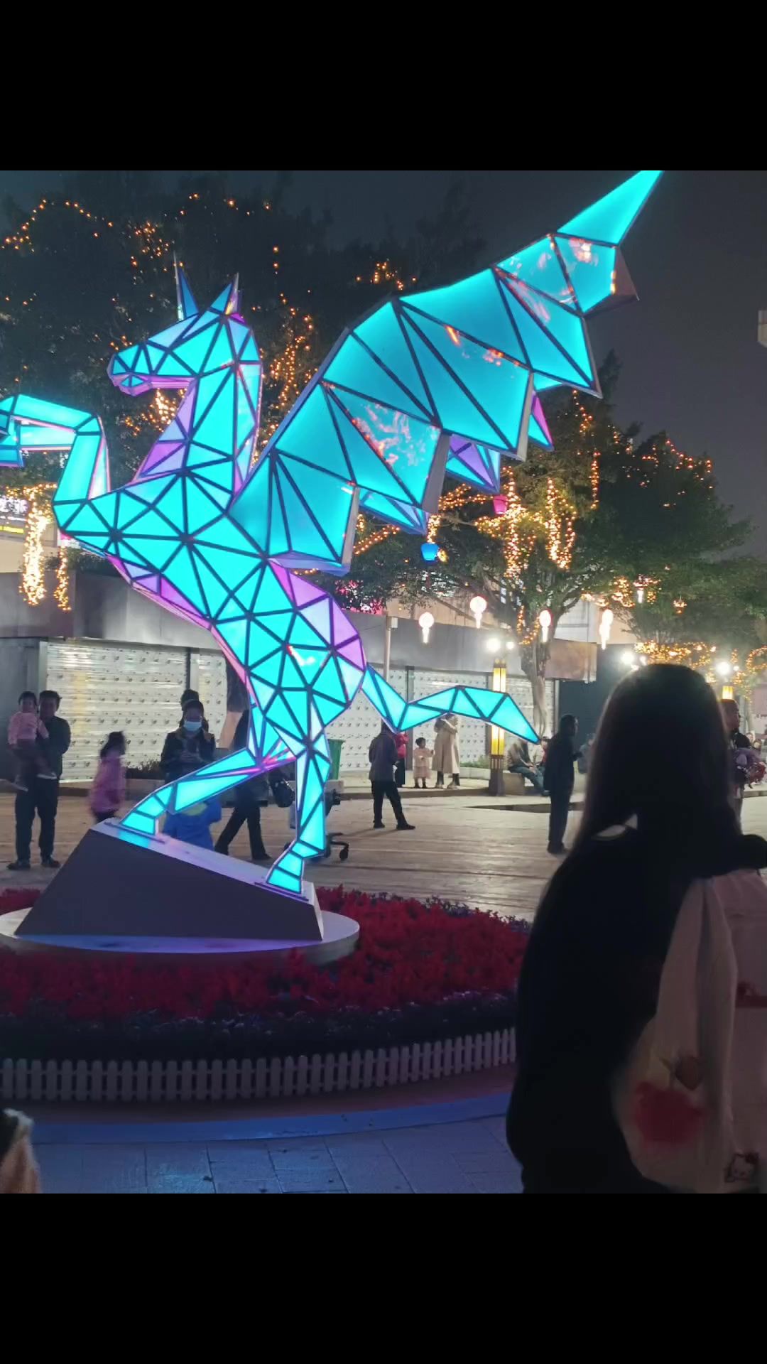 video-4262524