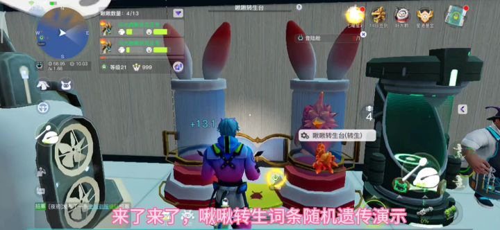 非氪佬领主啾啾词条遗传,主打一个看脸截图