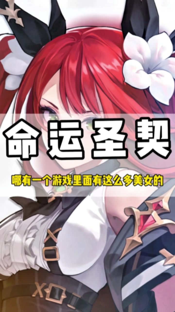 好好好,做百媚还得是你命运圣契截图