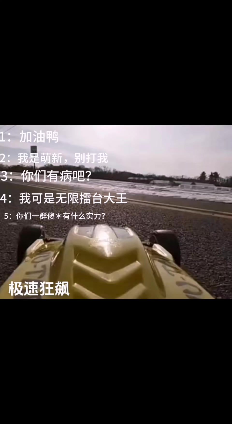 video-4271521