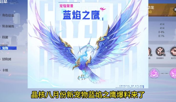 新宠物爆料截图