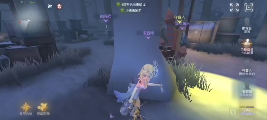 video-4280654