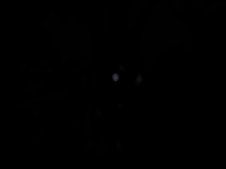 video-4286431